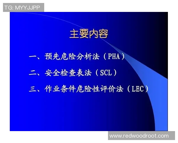 重庆羽毛球队在邀请赛中的速度表现分析与点评